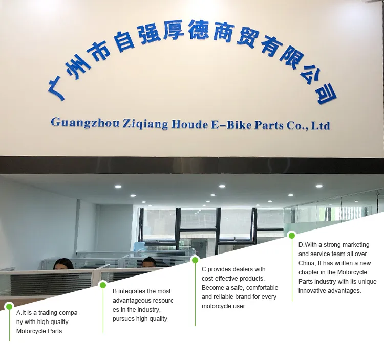 Ebike Hub Motor Electric Bike Kit Brushless Hub Motor Greenpedel 48V 450W Ebike Brushless Hub Motor Electric Bike Conversion Kit