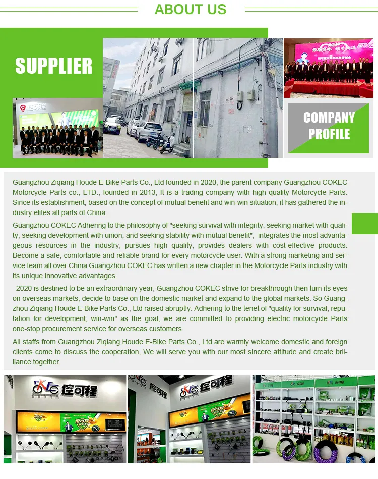 Ebike Hub Motor Electric Bike Kit Brushless Hub Motor Greenpedel 48V 450W Ebike Brushless Hub Motor Electric Bike Conversion Kit