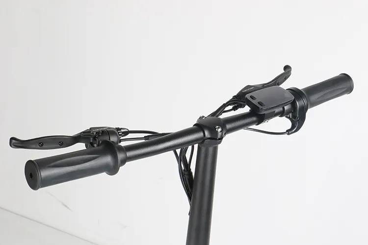 Ecorider E6-4 Electric Folding Bike 350W off Road Bicycle Mini Pocket Bike Travel Bike