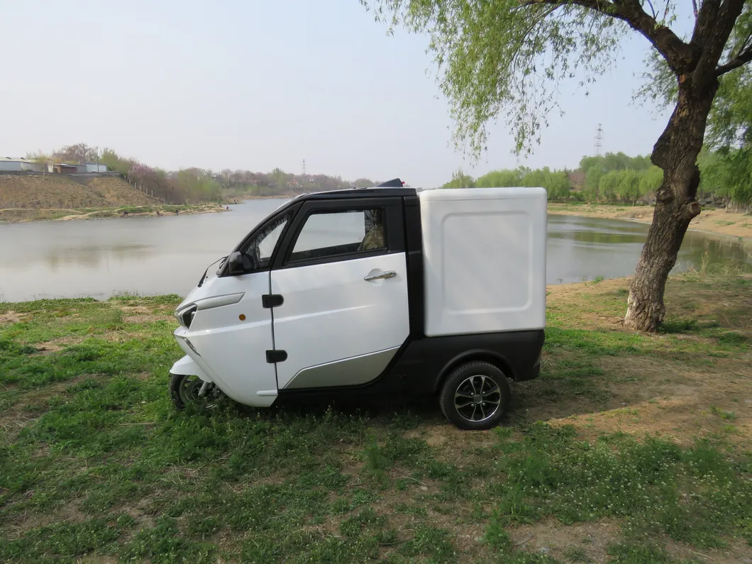 EEC Approval 3 Wheel Electric Delivery Cargo Tricycle
