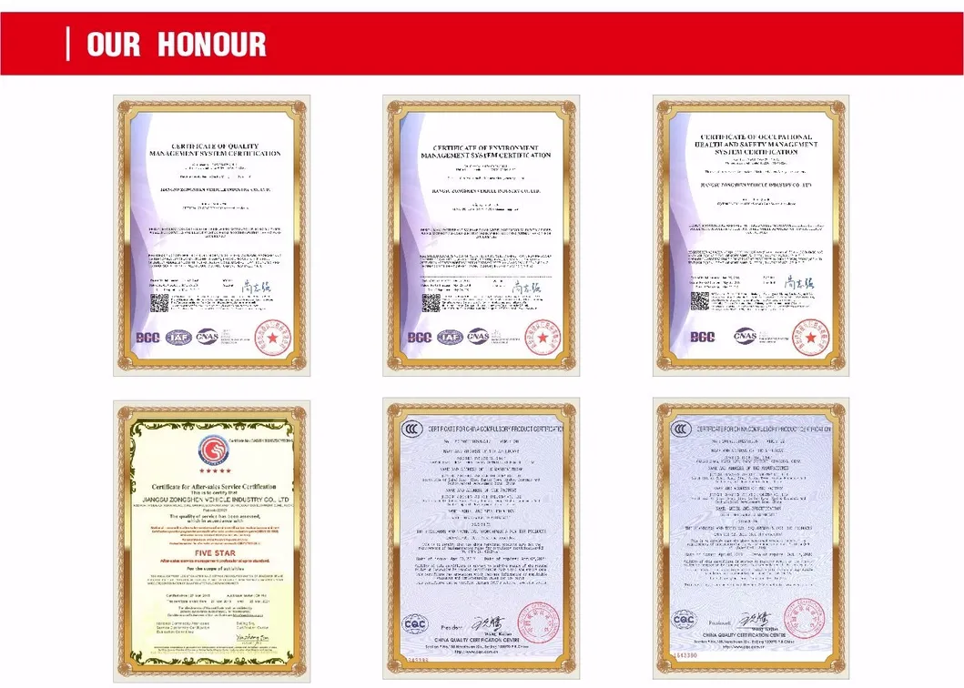 EEC Certification Hot Sale Battery Operated Three Wheel Electric Cargo Tricycle with 1000W Motor