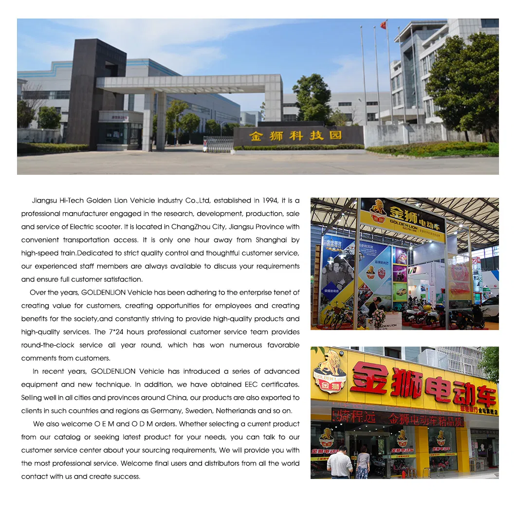 EEC Powerful 2000W High Quality Electric Motorcycle Vespa EV2000--Goldenlion