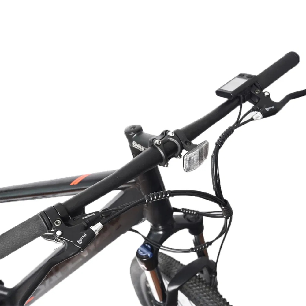 Electric Adult Bike/Ebike Woman/Ebike Sport