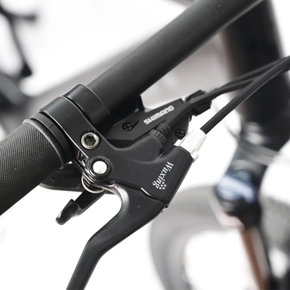 Electric Adult Bike/Ebike Woman/Ebike Sport