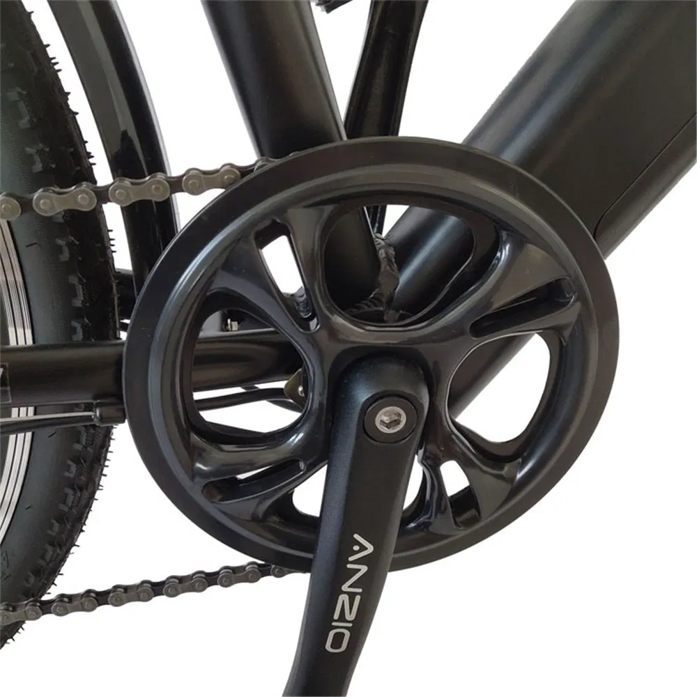 Electric Bike 48V 2020 26 20inch 21ah 250 Watt 250W26 26 Inch27.5 27.5 Inch