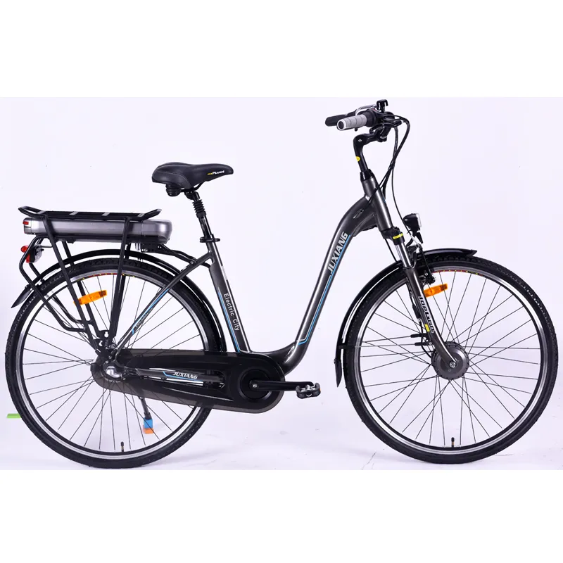 Electric Bike E-Mountain Bicycle Riding E-Bike