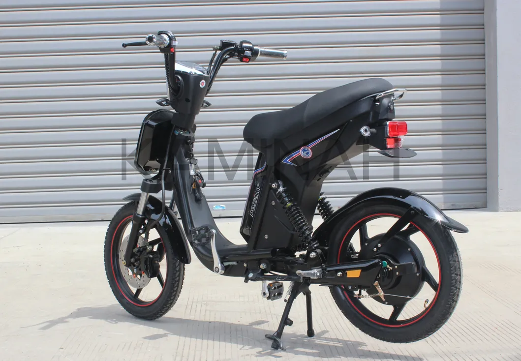 Electric Bike Power Vehicle E-Bike Electric Scooter 350W 48V Electric Motorcycle Yzqs