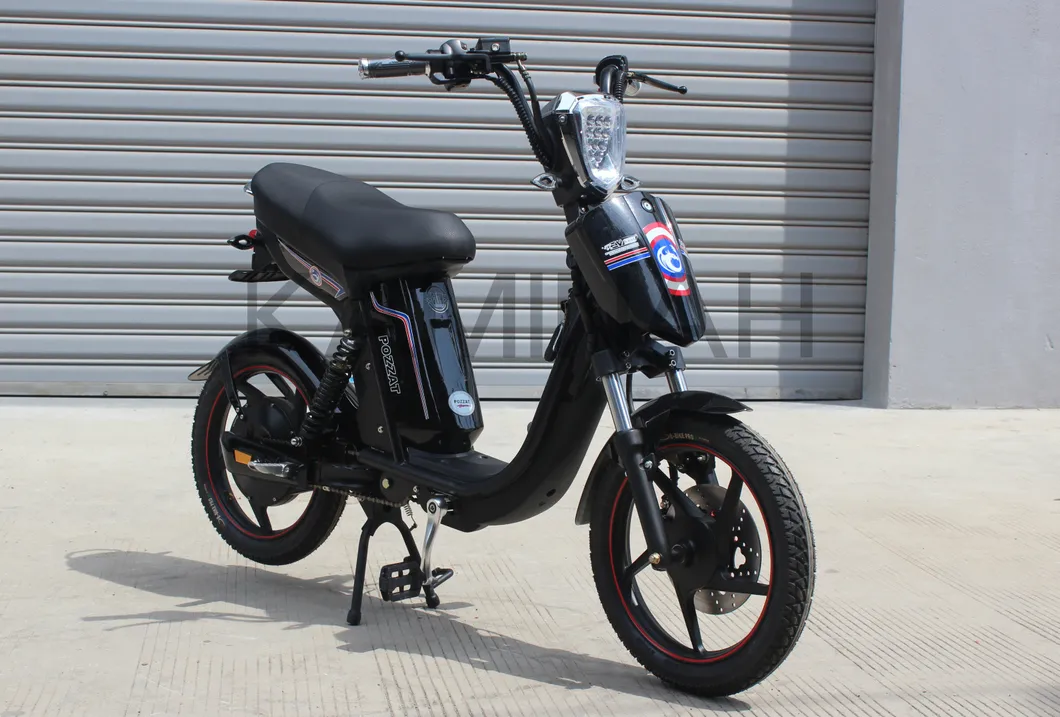 Electric Bike Power Vehicle E-Bike Electric Scooter 350W 48V Electric Motorcycle Yzqs