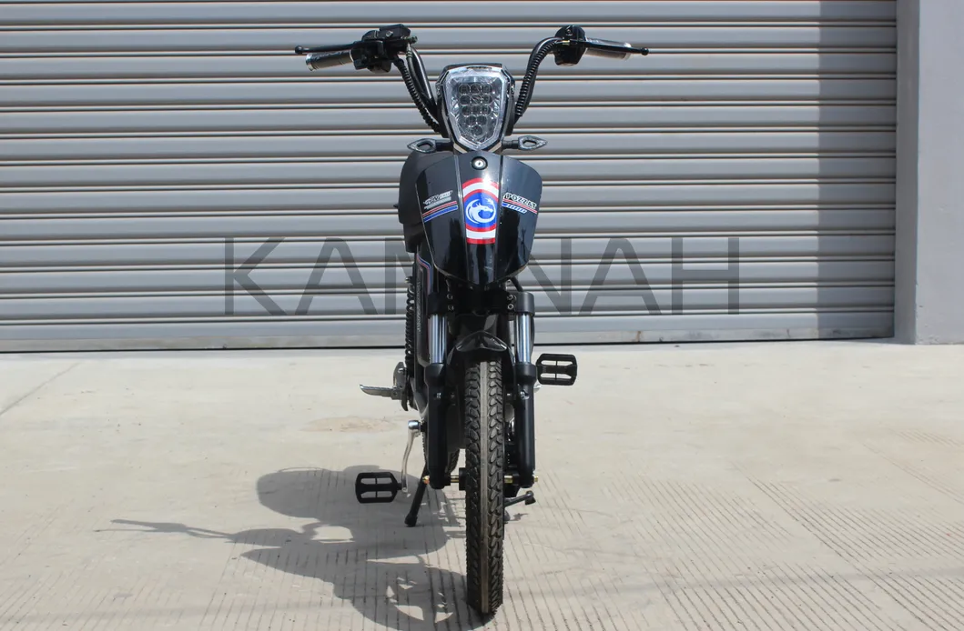 Electric Bike Power Vehicle E-Bike Electric Scooter 350W 48V Electric Motorcycle Yzqs