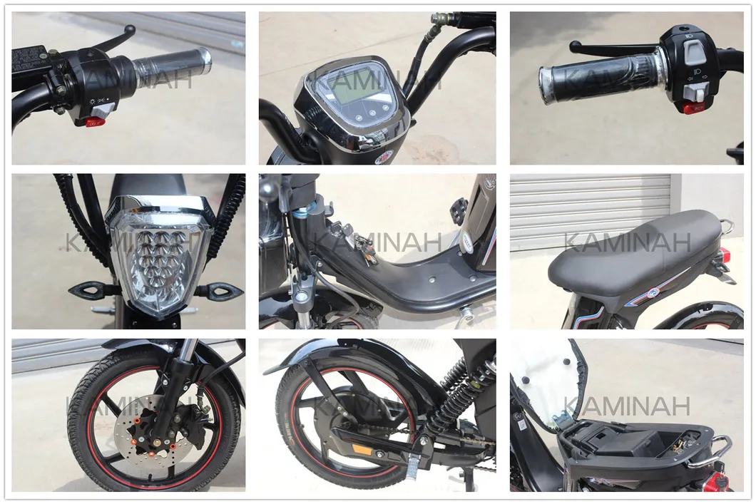 Electric Bike Power Vehicle E-Bike Electric Scooter 350W 48V Electric Motorcycle Yzqs