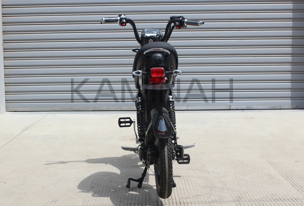 Electric Bike Power Vehicle E-Bike Electric Scooter 350W 48V Electric Motorcycle Yzqs