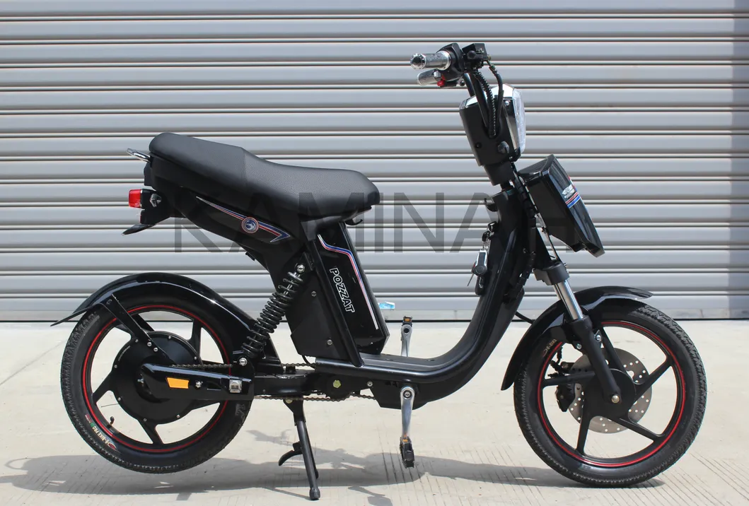 Electric Bike Power Vehicle E-Bike Electric Scooter 350W 48V Electric Motorcycle Yzqs