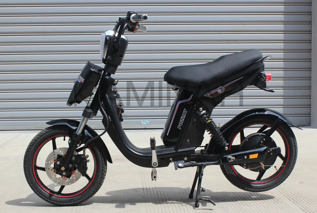 Electric Bike Power Vehicle E-Bike Electric Scooter 350W 48V Electric Motorcycle Yzqs