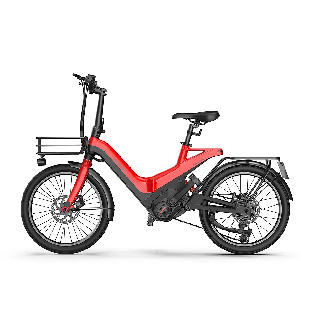 Electric Bike Wholesale with 250W 36V 9.6ah Electric Bicycle Folding Electric Bicycle