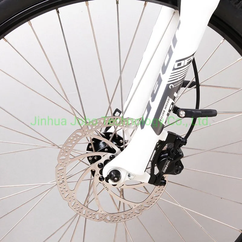 Electric City Bike 26inch Lady Bicycle Commuter Bike