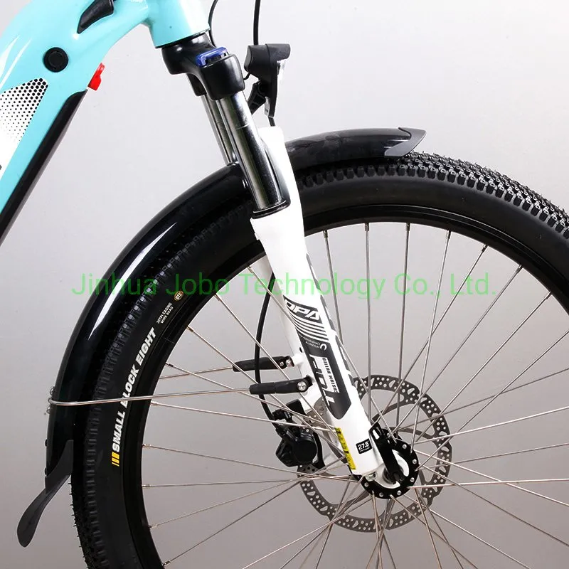 Electric City Bike 26inch Lady Bicycle Commuter Bike