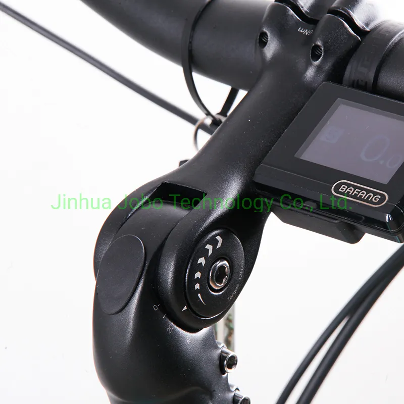 Electric City Bike 26inch Lady Bicycle Commuter Bike