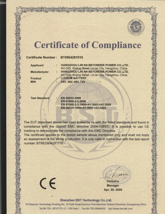 Electric Mountain Men Bike with 29inch Tyre