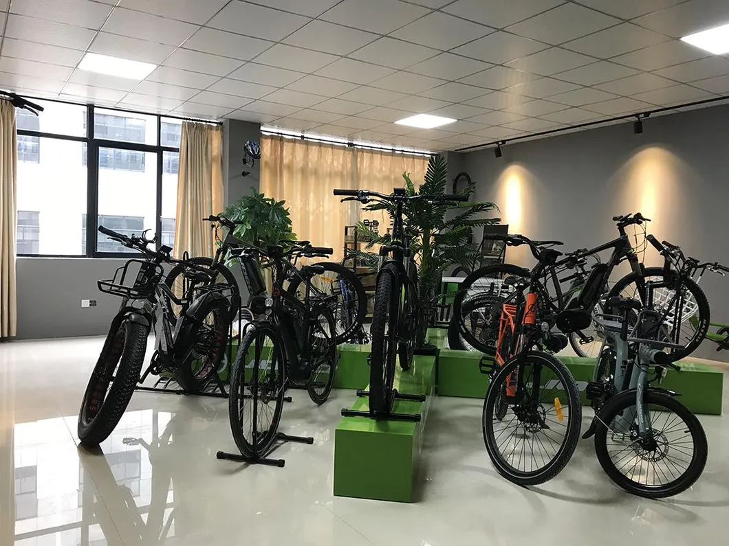 Electric Mountain Men Bike with 29inch Tyre