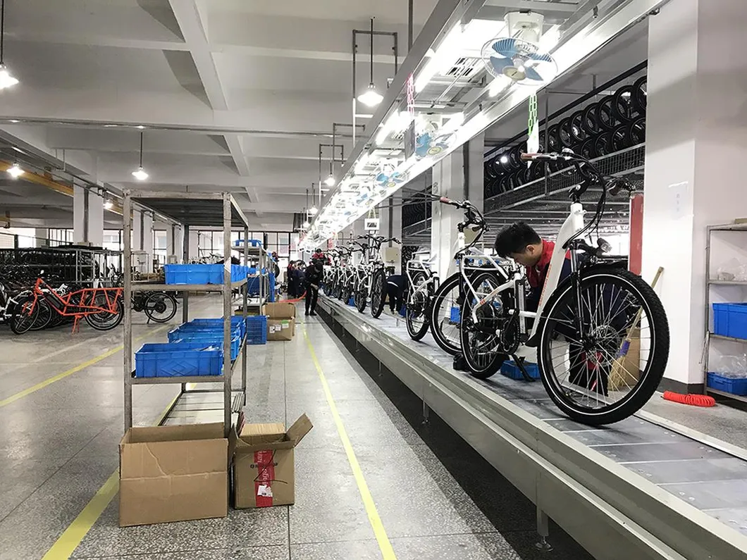 Electric Mountain Men Bike with 29inch Tyre