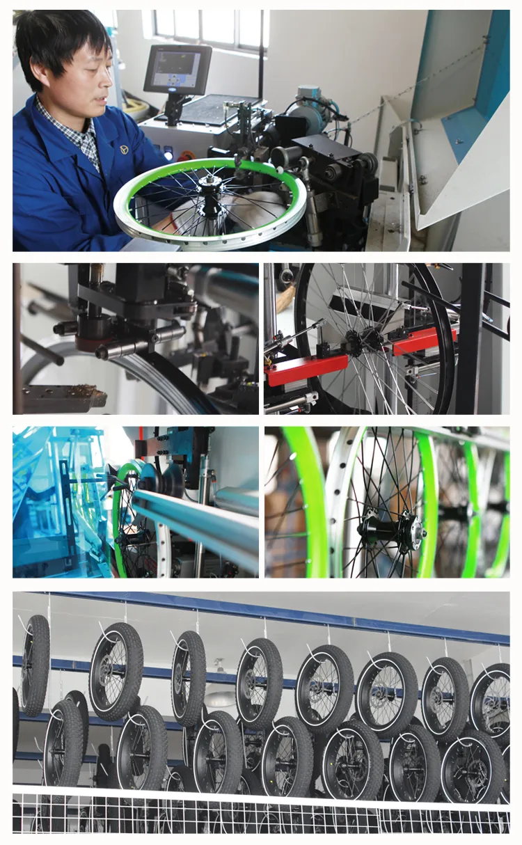 Electric Mountain Men Bike with 29inch Tyre