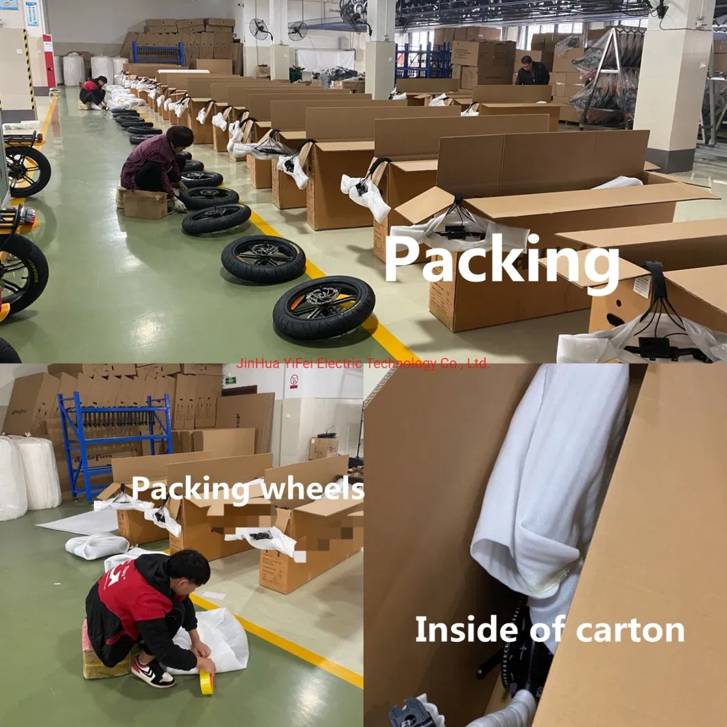 Electric Powerfull Motor Harley with Battery Electric Bike Electric Harley Bicycle Ebike