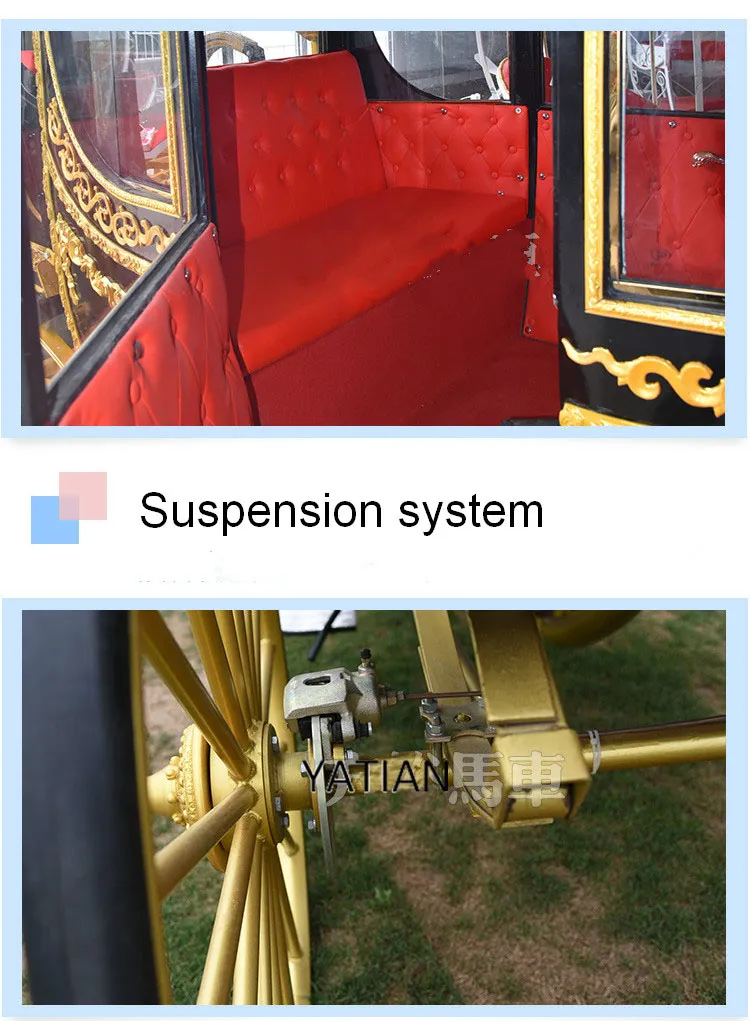 Electric Royal Tourist Horse Carriage with High Hood