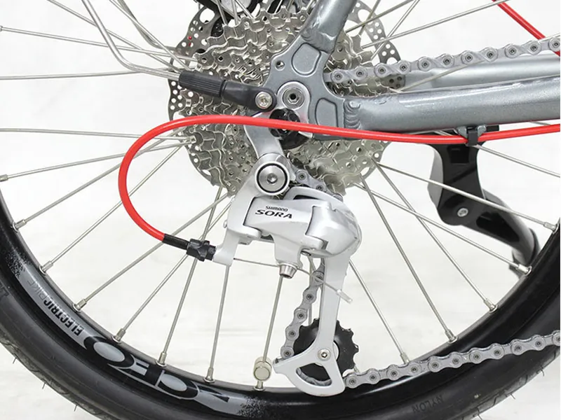 Electrical Cargo Bike with Basket and Rear Carrier