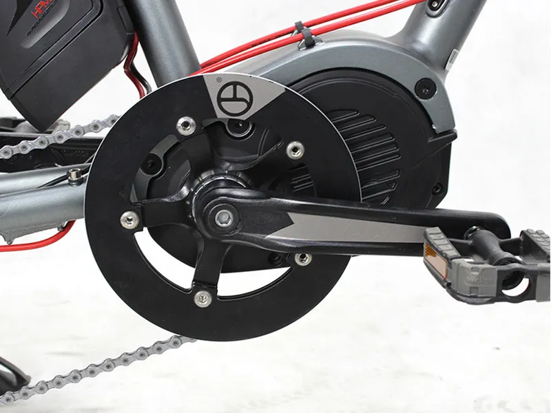 Electrical Cargo Bike with Basket and Rear Carrier