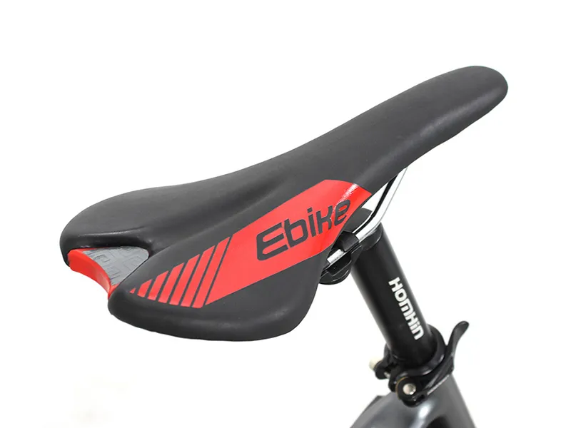 Electrical Cargo Bike with Basket and Rear Carrier