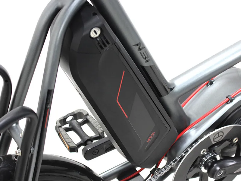 Electrical Cargo Bike with Basket and Rear Carrier