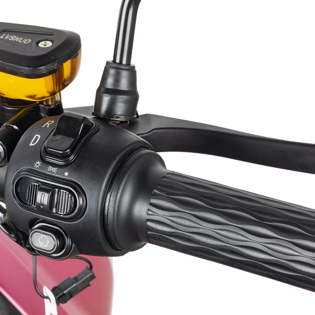 Elektrikli Motorsiklet Baby Toys Saddle Bag Rooder Arrow Pieces Rechanges 2021 New Coming Batery Fuse Holder Moto Eletrica 3000 Re 1 LED Bulb Light Citycoco