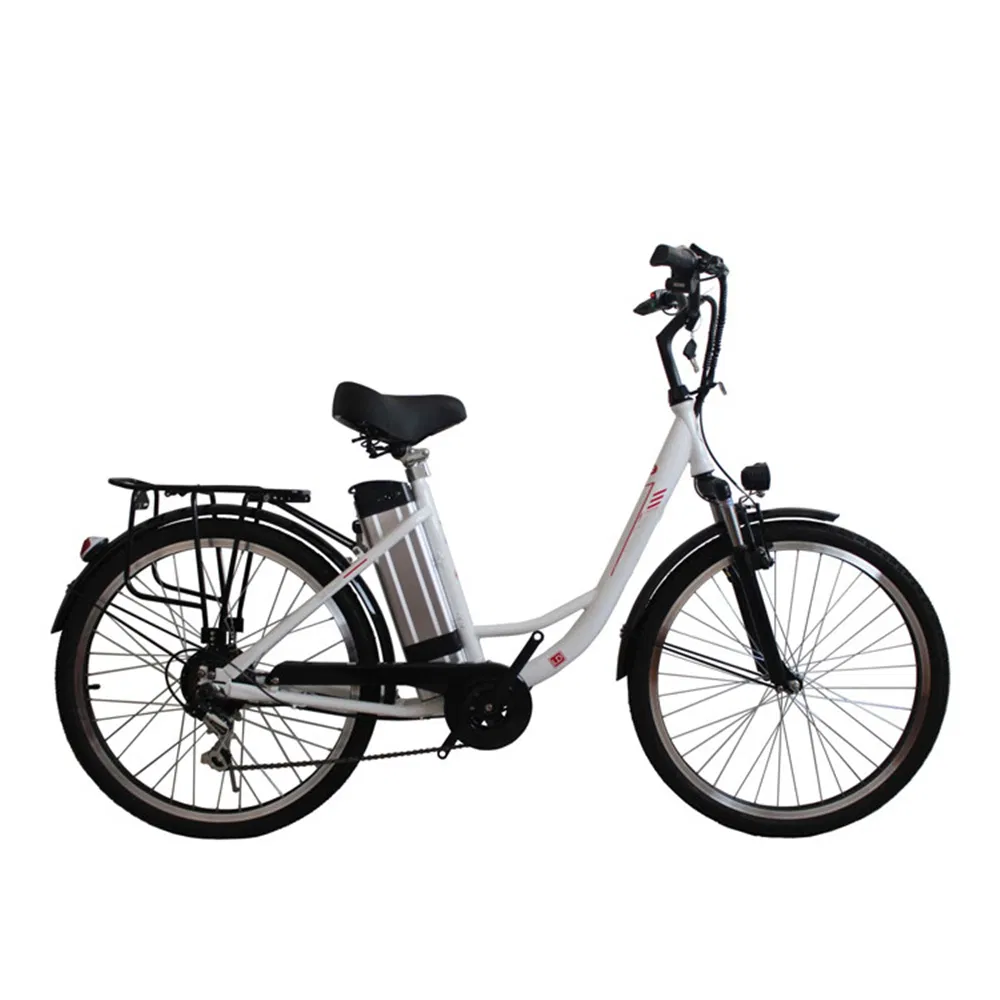 European Standard Electric Double Wall Alloy Rim Mountain Cycle Sale Mountains Bike with Double Disc-Brake Ebike