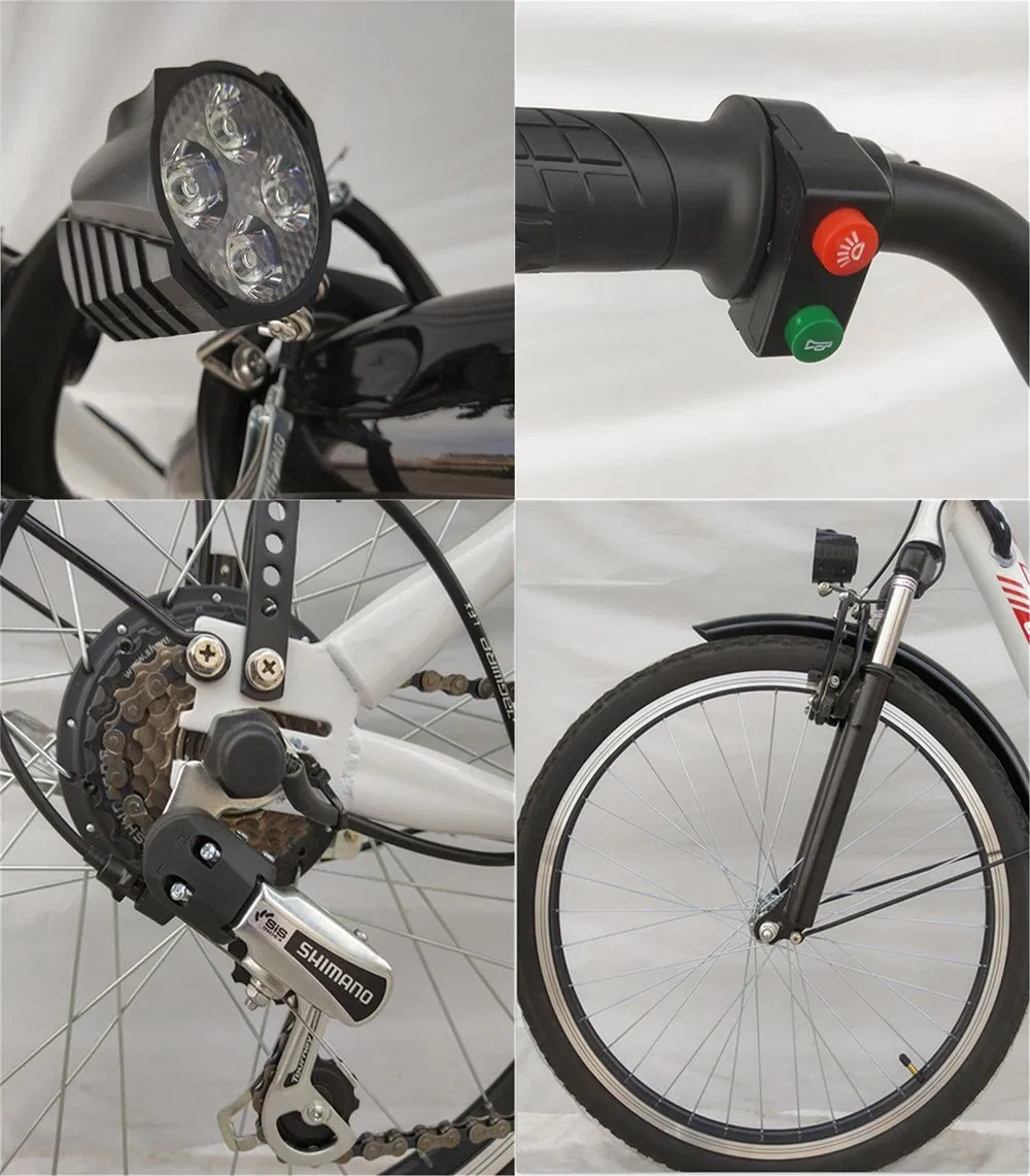 European Standard Electric Double Wall Alloy Rim Mountain Cycle Sale Mountains Bike with Double Disc-Brake Ebike