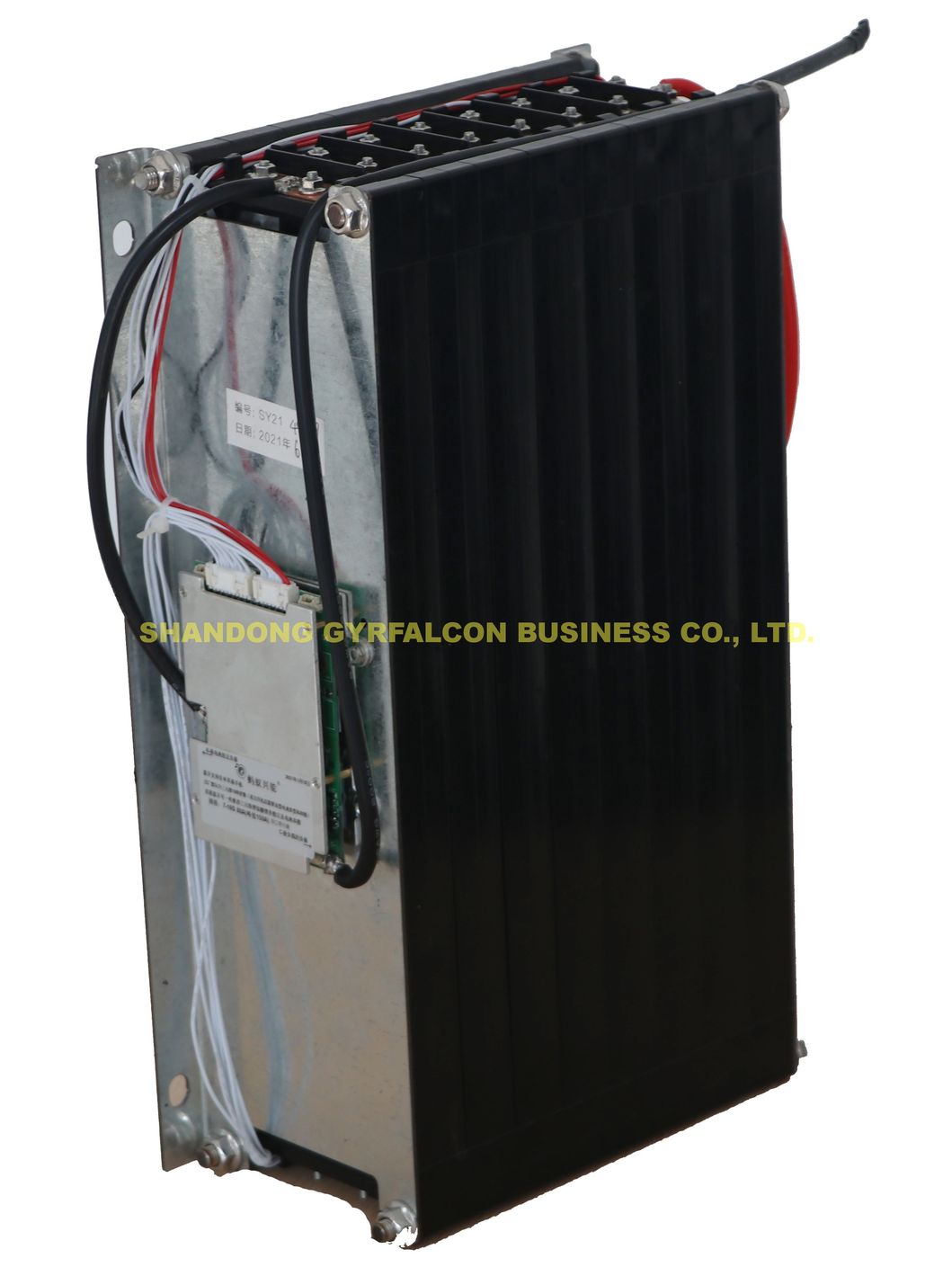 Factory Direct Supply High Quality 12V 24V 36V 48V 60V 72V 80V Lithium Battery