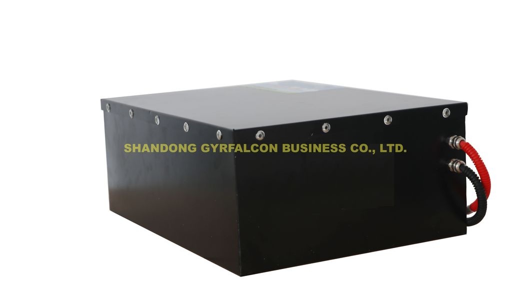 Factory Direct Supply High Quality 12V 24V 36V 48V 60V 72V 80V Lithium Battery