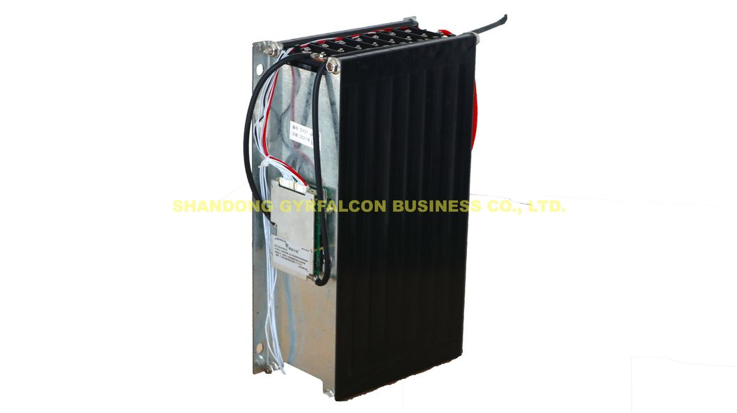 Factory Direct Supply High Quality 12V 24V 36V 48V 60V 72V 80V Lithium Battery