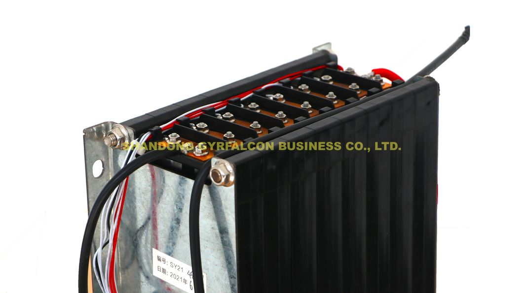 Factory Direct Supply High Quality 12V 24V 36V 48V 60V 72V 80V Lithium Battery