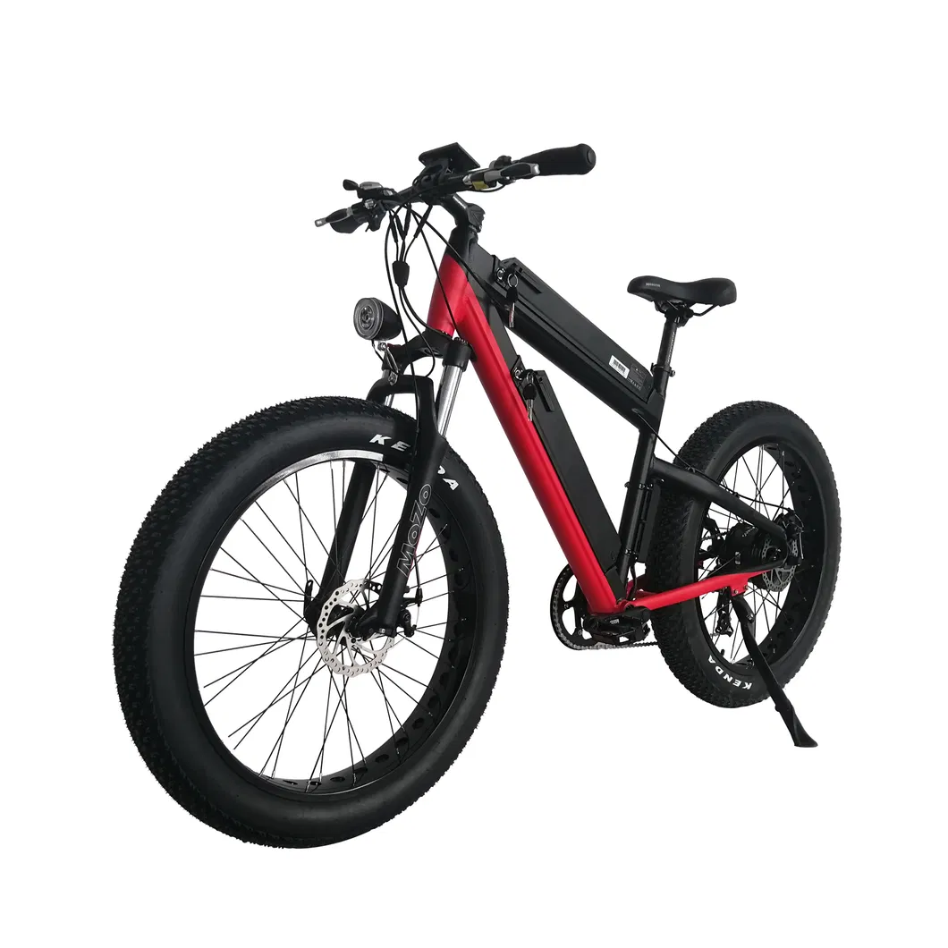 Factory Price 48V 500W Bafang Rear Wheel Hub Motor Electric Mountain Bike with Double Lithium Battery