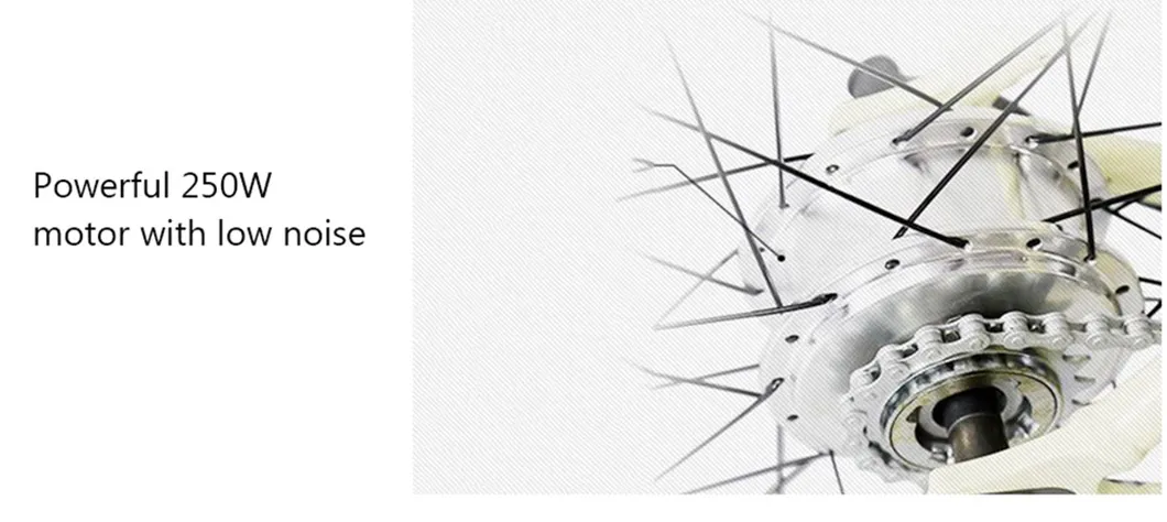 Factory Price Downhill Electric City Bicycle Mountain Bike for Men