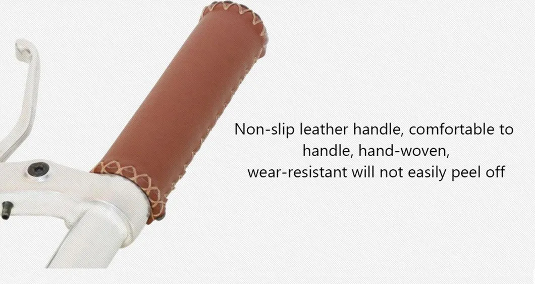 Factory Price Downhill Electric City Bicycle Mountain Bike for Men