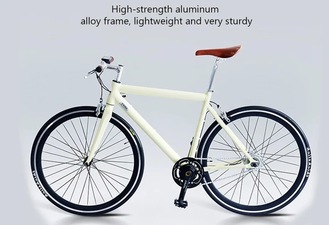 Factory Price Downhill Electric City Bicycle Mountain Bike for Men