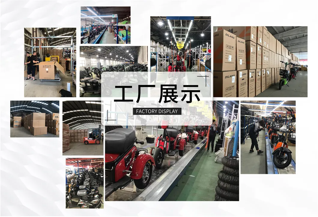 Factory Supply 350W48V12ah City Scooter E Bike Electric Bicycle for 2 Adults