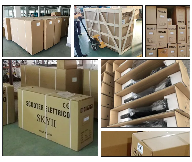 Fashion Style 500W Lithium Battery Electric Bicycle with 35km Speed and 60km Folding E-Bike