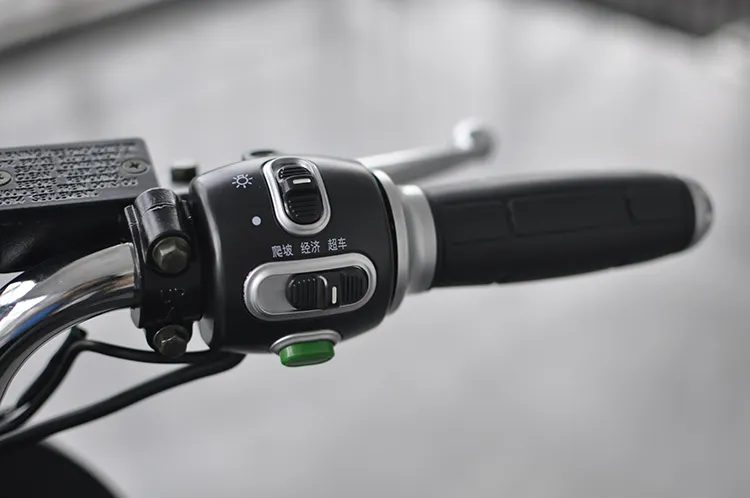 Fashionable1000W Electric Motorcycle for Adult