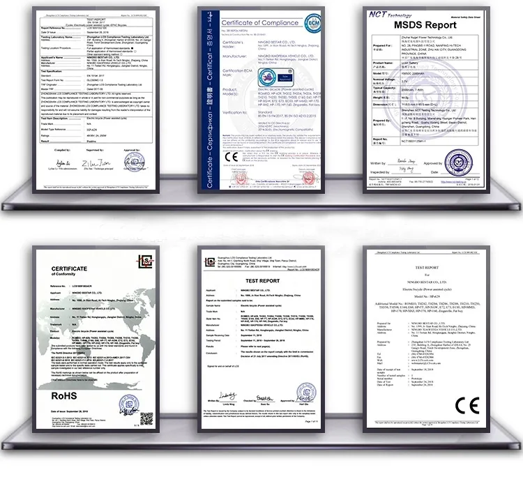 Fashionable1000W Electric Motorcycle for Adult