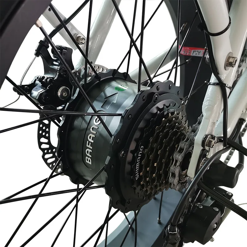 Fat Tire Folding Snow Cruise 20 Inch Ebikes Electric Bicycle with Suspension