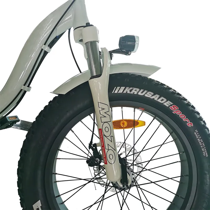 Fat Tire Folding Snow Cruise 20 Inch Ebikes Electric Bicycle with Suspension