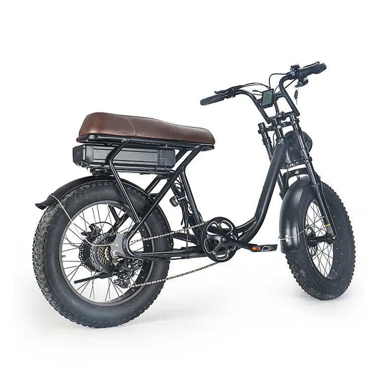 Fat Type City Bike Scooter Ecorider E6-1 Electric Bicycle