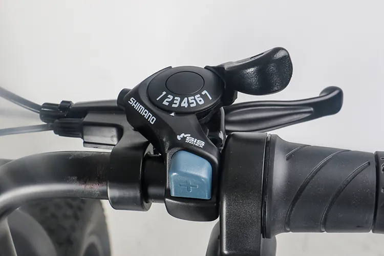 Fat Type City Bike Scooter Ecorider E6-1 Electric Bicycle